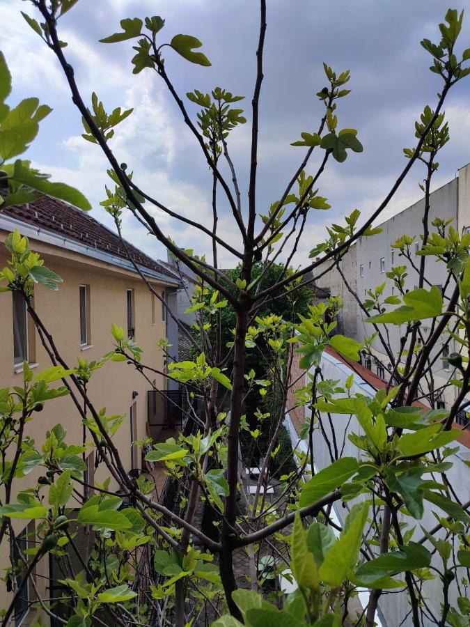 Centar Novi Sad-Apartman No 3 エクステリア 写真