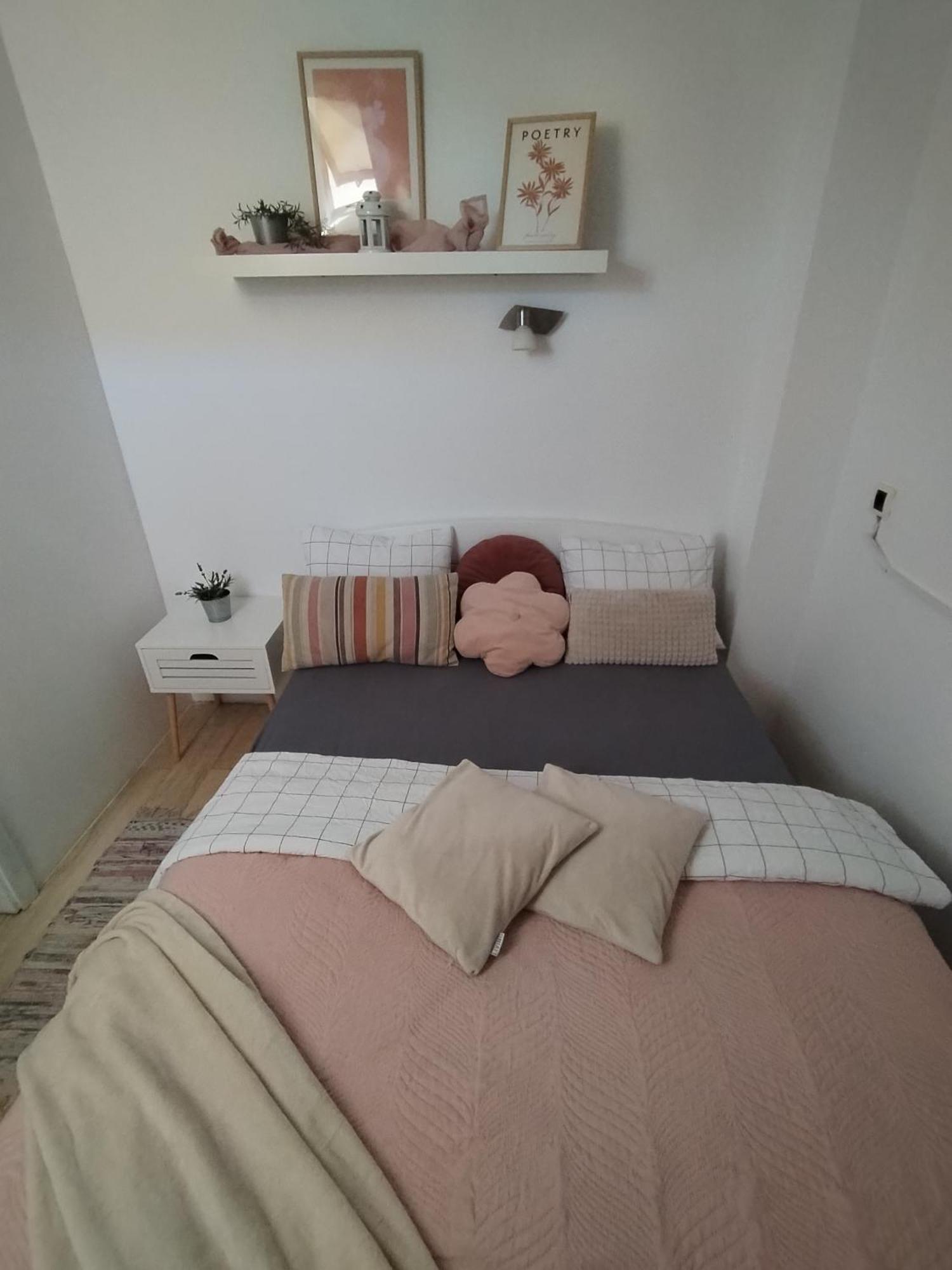 Centar Novi Sad-Apartman No 3 エクステリア 写真