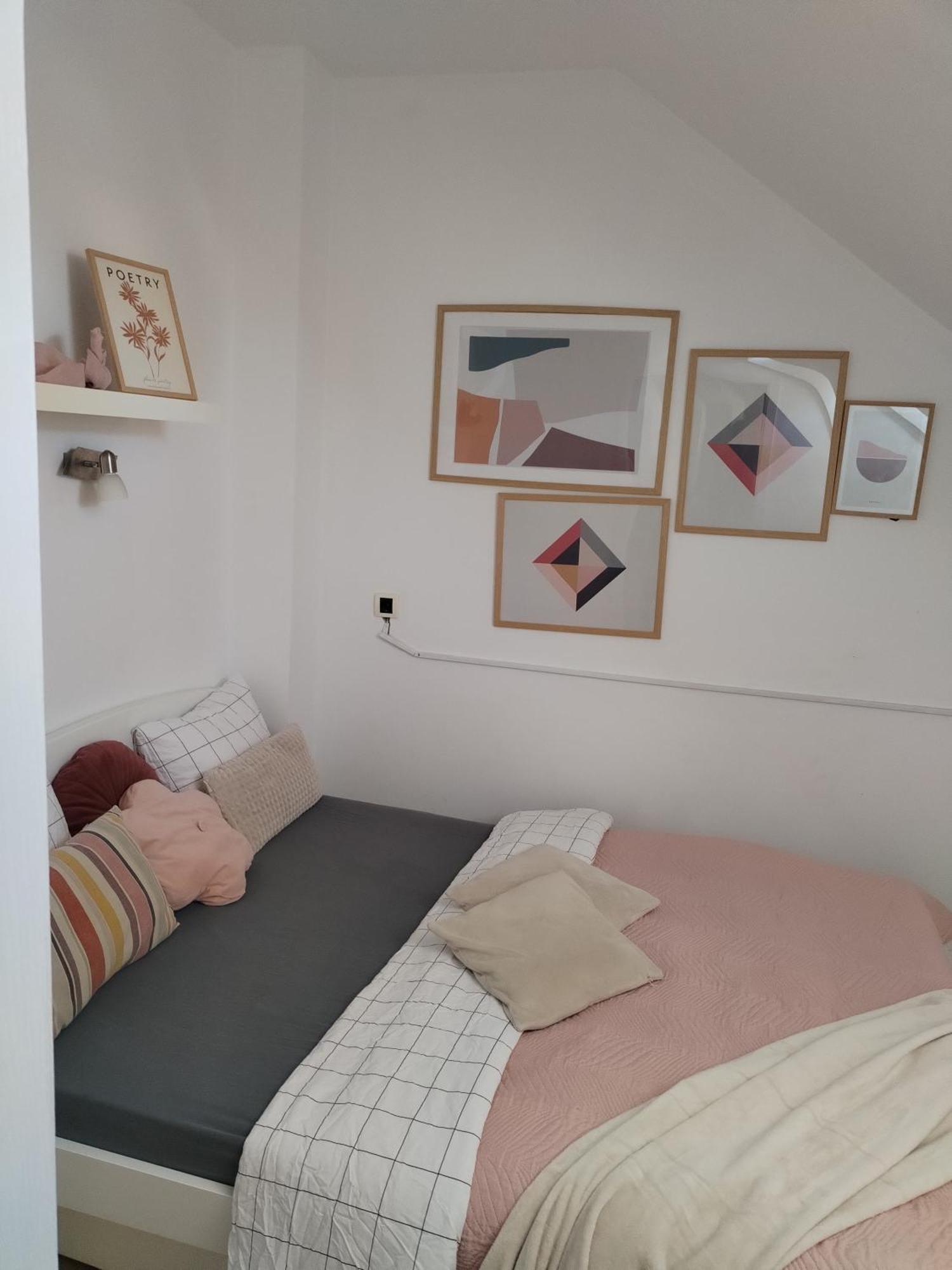 Centar Novi Sad-Apartman No 3 エクステリア 写真