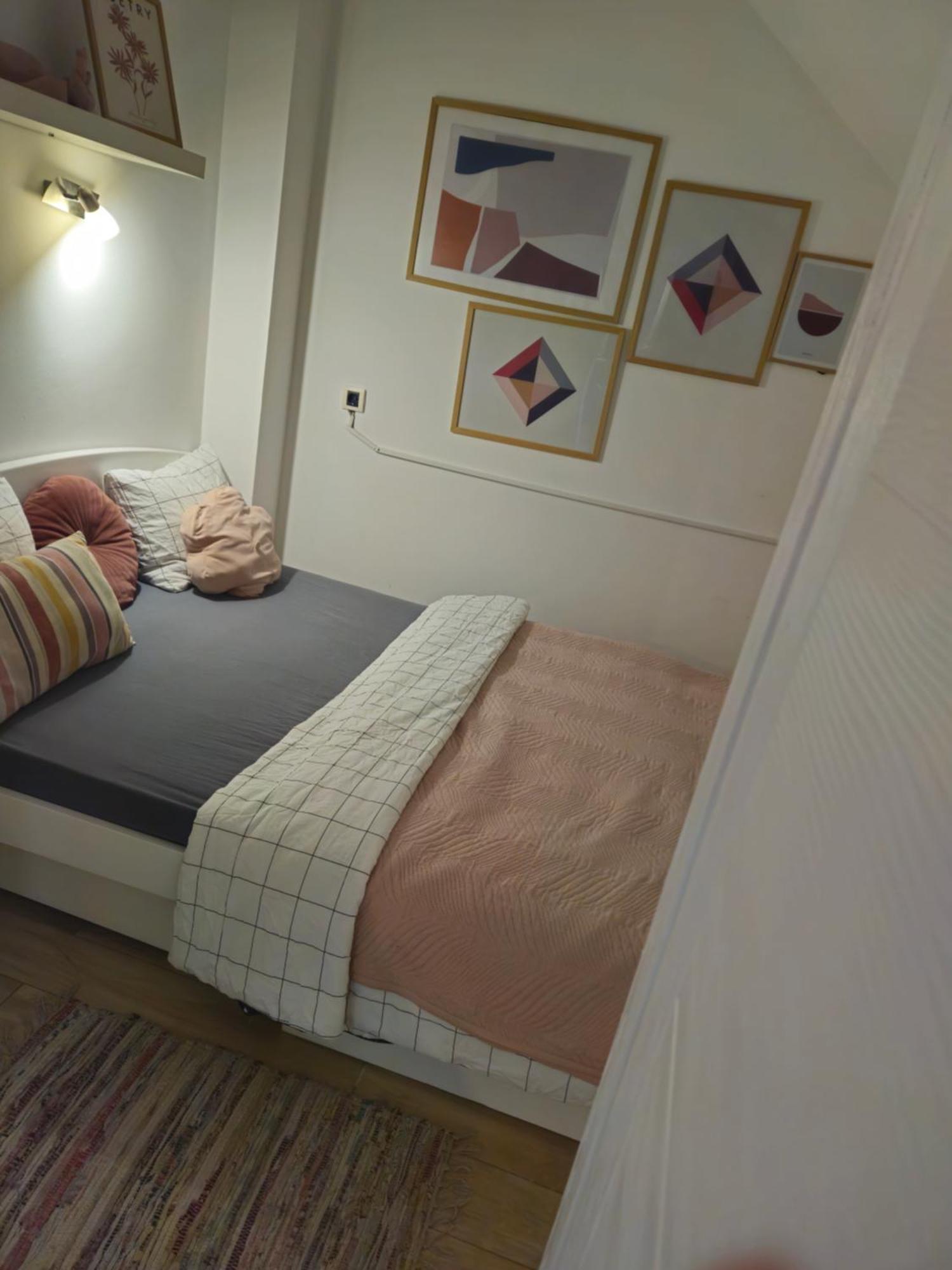 Centar Novi Sad-Apartman No 3 エクステリア 写真